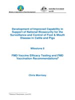 Báo cáo nghiên cứu khoa học 