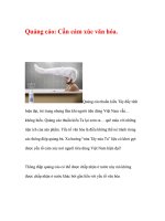 Quảng cáo cần cảm xúc văn hóa