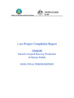 Báo cáo nghiên cứu khoa học 