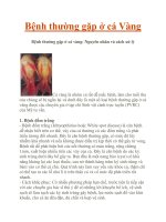 Bệnh thường gặp ở cá Vàng potx