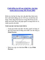 Cách kiểm tra bố cục trình bày văn bản trước khi in trong MS Word 2003 potx