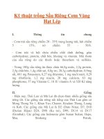 Kỹ thuật trồng Sầu Riêng Cơm Vàng Hạt Lép pdf