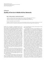 Báo cáo hóa học: 