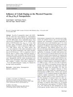 Báo cáo hóa học: 