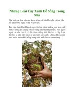 Những Loài Cây Xanh Dễ Sống Trong Nhà pptx