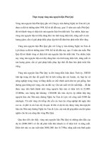 Thực trạng vùng mía nguyên liệu Phủ Quỳ pdf