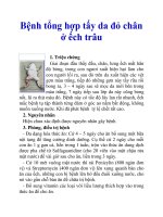 Bệnh tổng hợp tấy da đỏ chân ở ếch trâu pptx