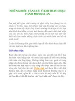 NHỮNG ĐIỀU CẦN LƯU Ý KHI THAY CHẬU CẢNH PHONG LAN doc