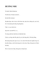 HƯƠNG NHU pdf