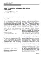 Báo cáo hóa học: 