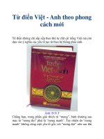 Từ điển Việt - Anh theo phong cách mới pptx