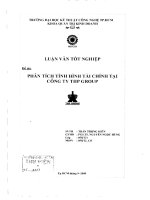 Phân tích tình hình tài chính tại công ty THP Group