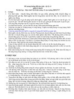 DE_CUONG_HUONG_DAN_A1a pdf