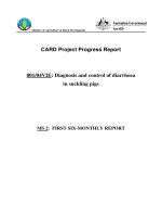 Báo cáo nghiên cứu khoa học 