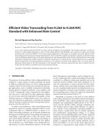 Báo cáo hóa học: 