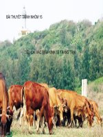 BÀI THẢO LUẬN NHÓM 015 pptx