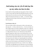 Ảnh hưởng của các yếu tố sinh học lên sự nảy mầm của bào tử nấm pot