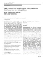 Báo cáo hóa học: 