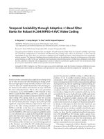 Báo cáo hóa học: 