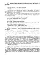 Nội dung cơ bản của đầu tư phát triển trong DN.Phân tích tình hình đầu tư của hệ thống DNNN pdf