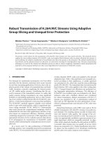 Báo cáo hóa học: 