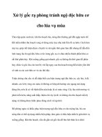 Xử lý gốc rạ phòng tránh ngộ độc hữu cơ cho lúa vụ mùa doc