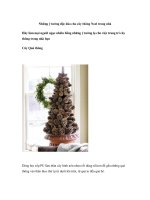 Những ý tưởng độc đáo cho cây thông Noel trong nhà pot