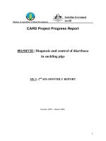 Báo cáo nghiên cứu khoa học 