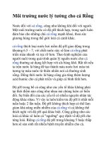 Môi trường nước lý tưởng cho cá Rồng pptx