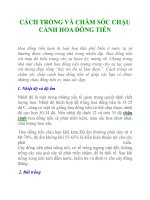 CÁCH TRỒNG VÀ CHĂM SÓC CHẬU CẢNH HOA ĐỒNG TIỀN docx