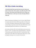 Hà Nội có bánh rán đường docx