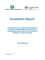 Báo cáo nghiên cứu khoa học 