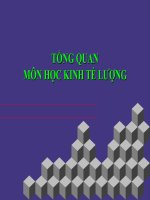 MÔN HỌC KINH TẾ LƯỢNG - CHƯƠNG 0 ppt