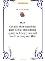 Đề tài: “ Các giải pháp hoàn thiện phân tích tài chính doanh nghiệp tại Công ty sản xuất bao bì và hàng xuất khẩu ” docx