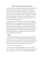 Động đất và sóng thần: nguồn năng lượng hủy diệt pdf