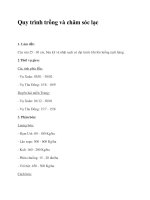 Quy trình trồng và chăm sóc lạc doc