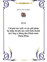 Đề tài: “Chi phí sản xuất và các giải pháp hạ thấp chi phí sản xuất kinh doanh tại Công ty Bóng đèn Phích nước Rạng Đông” pot