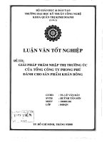 Giải pháp thâm nhập thị trường Úc của tổng công ty Phong Phú dành cho sản phẩm khăn bông