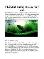 Chất dinh dưỡng cho cây thuỷ sinh docx