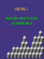 MÔN HỌC KINH TẾ LƯỢNG - CHƯƠNG 1 pot