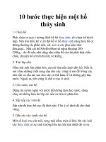 10 bước thực hiện một hồ thủy sinh doc