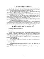 Tổng quan về Role số pdf