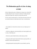 Tóc Bohemian quyến rũ cho cô nàng cá tính docx