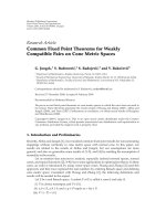 Báo cáo hóa học: 