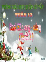 Giáo án tiếng việt lớp 1: Ong - Ông potx