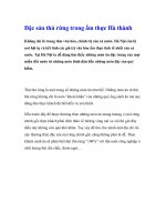 Đặc sản thú rừng trong ẩm thực Hà thành potx