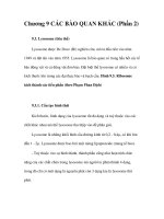 Chương 9 CÁC BÀO QUAN KHÁC (Phần 2) pdf
