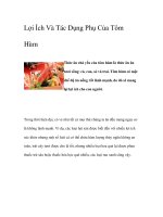 Lợi Ích Và Tác Dụng Phụ Của Tôm Hùm pptx