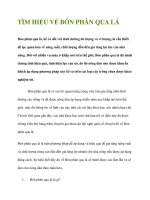 TÌM HIỂU VỀ BÓN PHÂN QUA LÁ pptx