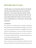 PHÂN BÓN CHO CÂY XOÀI pptx